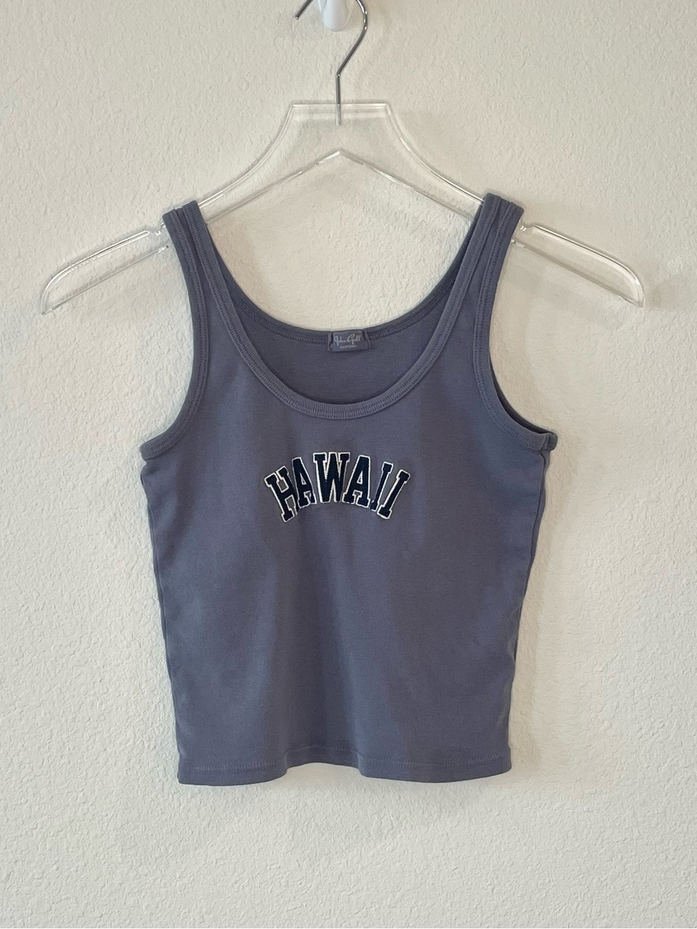 Brandy Melville John Galt Navy Scoop Hawaii Tank